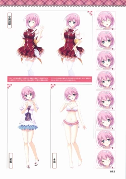 Page 13 of Kimi wo Aogi Otome wa Hime ni Visual Fan Book