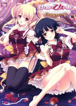 Page 1 of Kimi wo Aogi Otome wa Hime ni Visual Fan Book