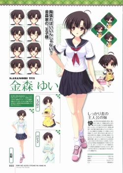 Page 22 of Kimi wo Aogi Otome wa Hime ni Visual Fan Book