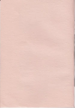 Page 2 of Mahou Ruby