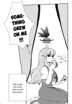 Page 4 of Fujiwara Mokou wa Shizukani Kurasenai