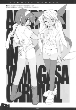 Page 22 of NECO/33/MEGANE