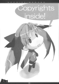 Page 4 of NECO/33/MEGANE