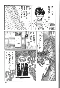 Page 87 of Belldandy Special