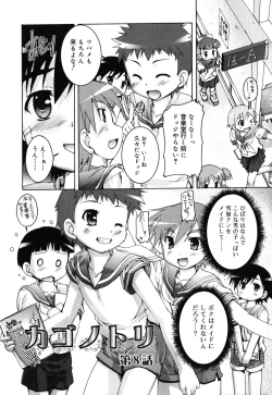 Page 142 of Kago no Tori