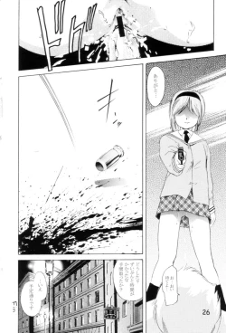 Page 25 of TEPUCHIN II