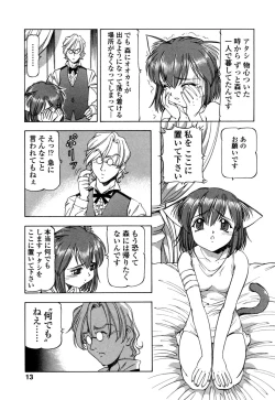 Page 16 of Mesu Neko - Maid Cats Story