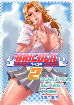 Download BRICOLA 2