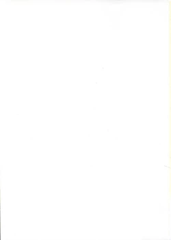 Page 2 of D.L. Action 13