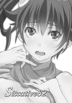 Page 2 of Siccative82