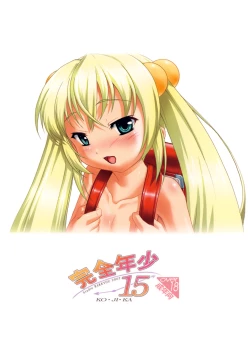 Page 28 of Kanzen Nenshou 15