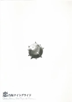 Page 22 of Gliding through the Night at Koinosaka