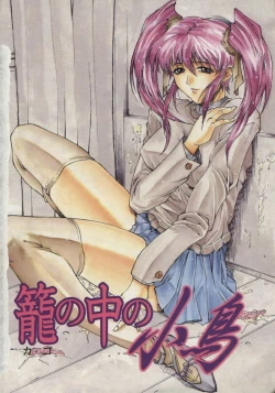 Page 8 of Biane | Flattery Older Sister