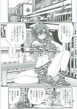 Page 68 of Seirei Tokusou Fairy Saber W Hanjin Hanki