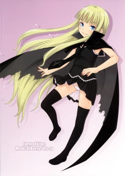 Page 26 of Form of Lilac