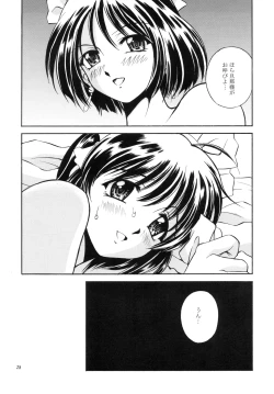 Page 28 of DOLLS DIARY