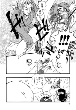 Page 16 of Flower Complex