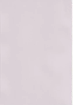 Page 2 of Memory Chips