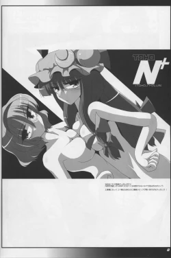 Page 10 of TOHO N+ DH