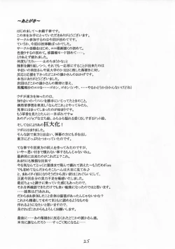 Page 26 of Touhou Kidouroku