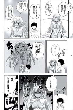 Page 33 of Seirei No Musubimi