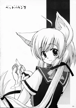 Page 6 of PET BOUNDS