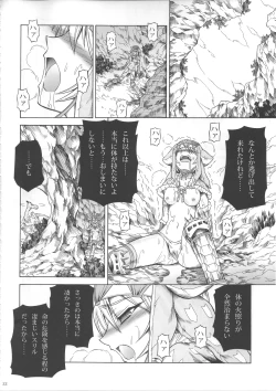 Page 21 of Solo Hunter no Seitai 3