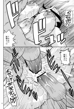 Page 19 of ROBIN SP 2