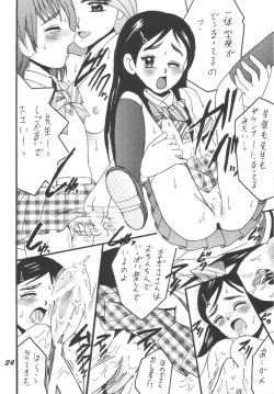 Page 24 of PRECURE STICK