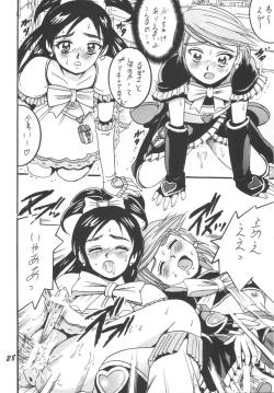 Page 28 of PRECURE STICK