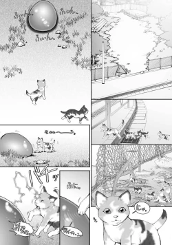 Page 159 of Men's Young 2010-01