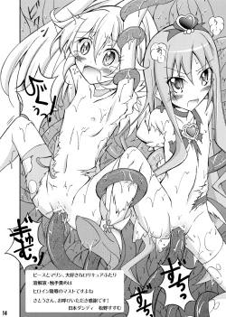 Page 13 of Koujuu Toire Tousatsu ～ Cure Peace ～