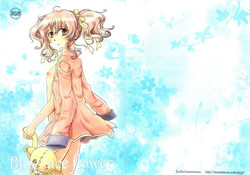 Download Blue lace flower