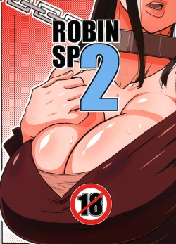 Page 26 of ROBIN SP 2