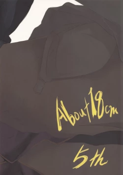 Page 18 of About 18cm 5th