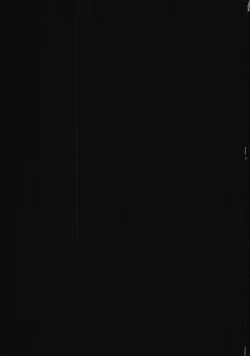 Page 2 of Kokomo Beach de Chinpira ni.