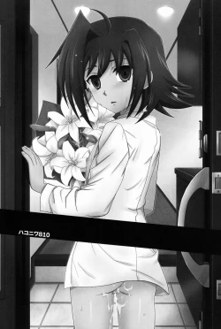 Page 2 of Hakoniwa 810