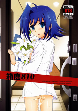 Download Hakoniwa 810