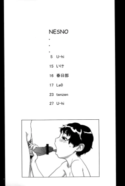 Page 4 of NESNO