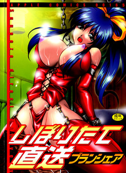 Download Shiboritate Chokusou