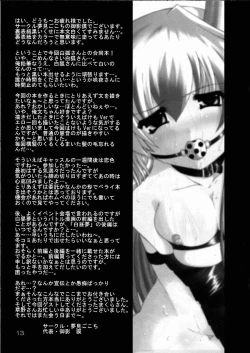 Page 13 of Yumegitsune