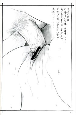 Page 21 of Nonoya Limited 67