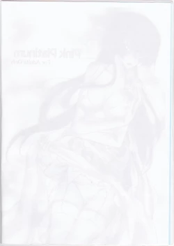 Page 4 of Pink Platinum