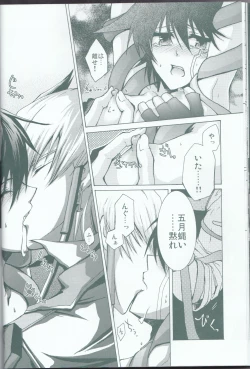 Page 19 of Victim Sanctuary