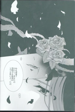 Page 7 of Victim Sanctuary