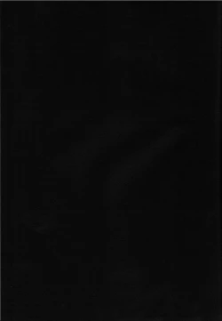 Page 20 of Kikaijikake no Kamigami