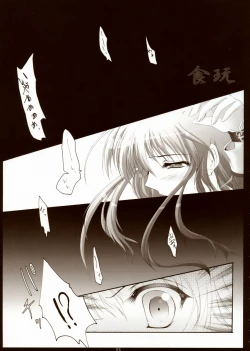 Page 4 of Syokugan