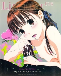 Page 2 of Limitter P26