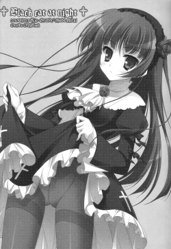 Page 4 of Black cat at night