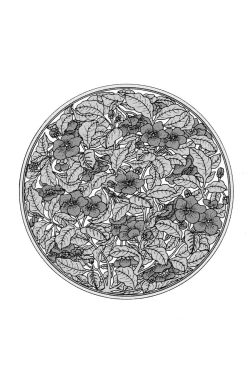 Page 75 of House of Brutes Vol 1